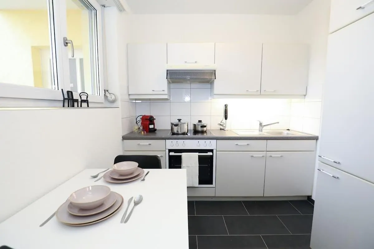 Spacious Parkside Apartment In Central Zurich With Balcony