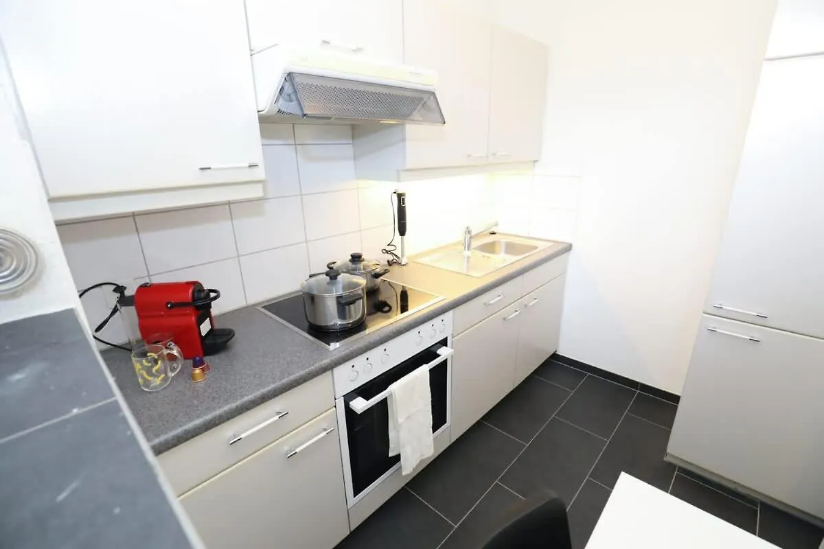 Spacious Parkside Apartment In Central Zurich With Balcony